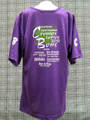 Camisa 2010 costas