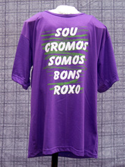 Camisa 2010 frente