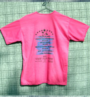 Camisa 2011 costas